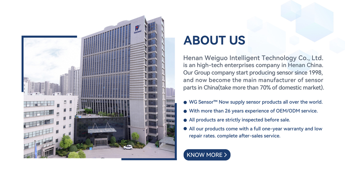 中国 Henan Weiguo Intelligent Technology Co., Ltd.